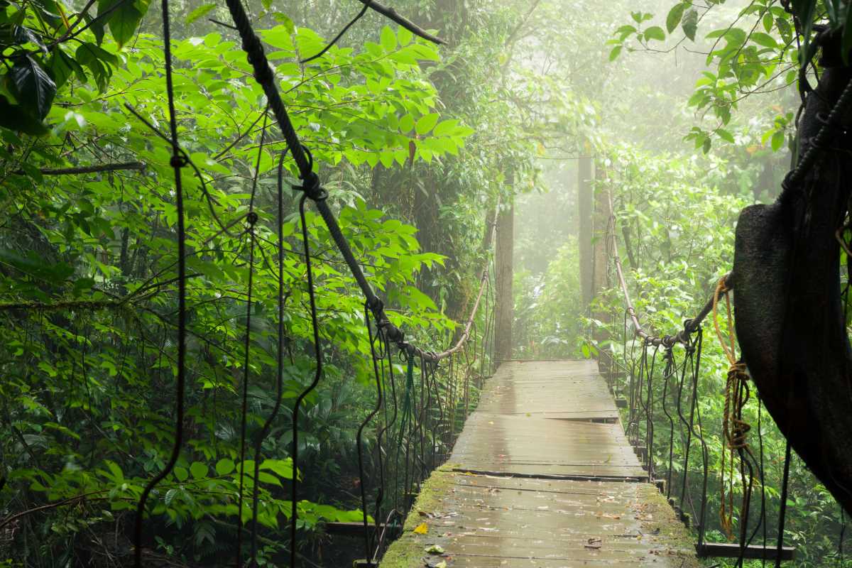 Walking Through The Rainforest Trails and Volcanoes of Costa Rica